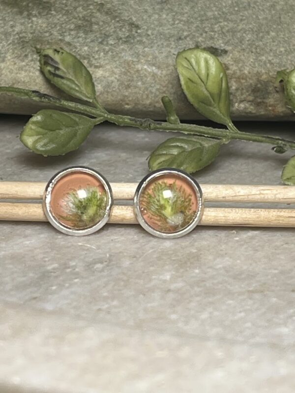 Moss - Coral - Image 2