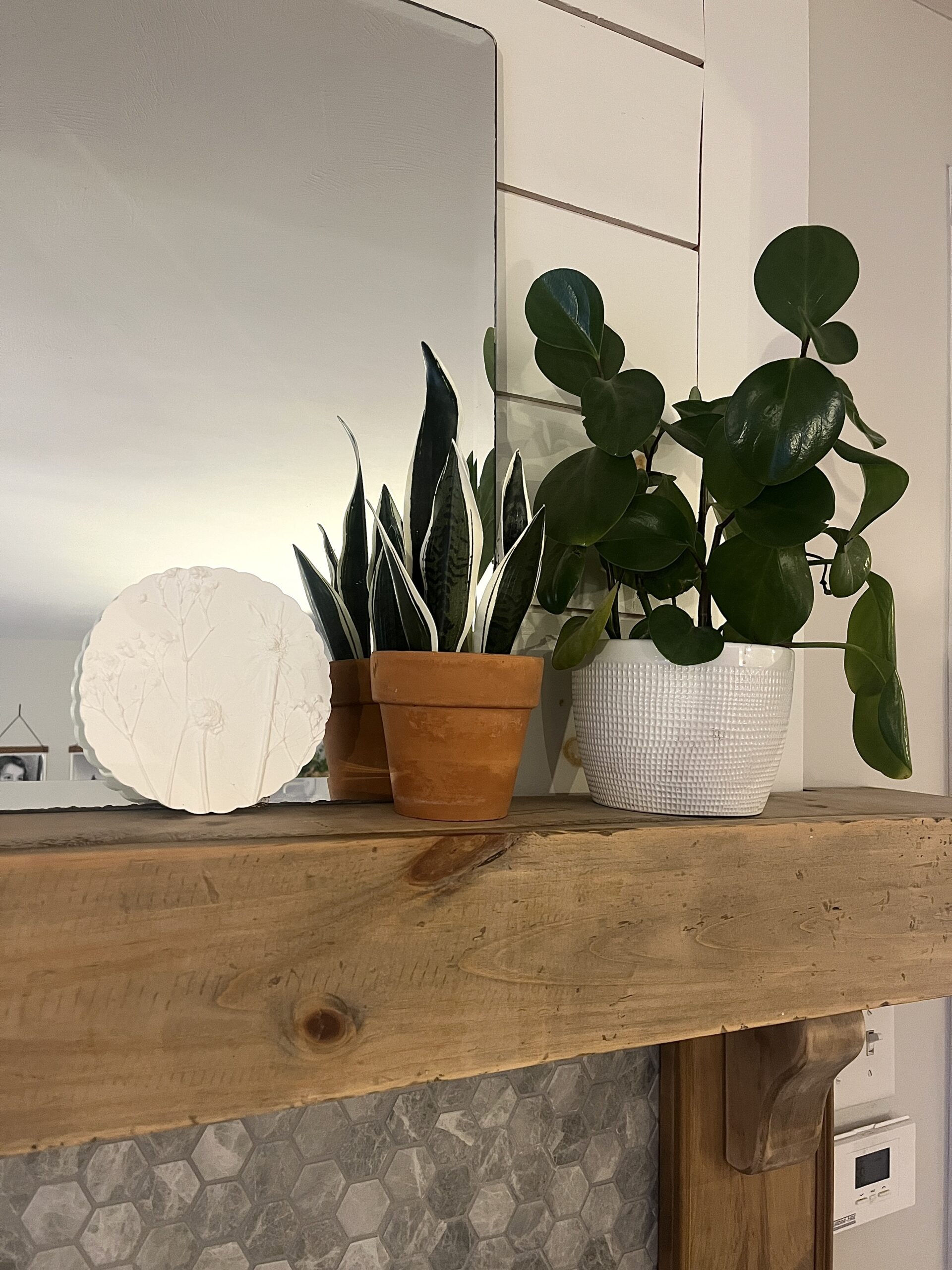 Custom Made - Botanical Casting - Image 8